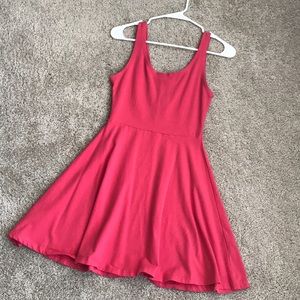 Express Skater Dress